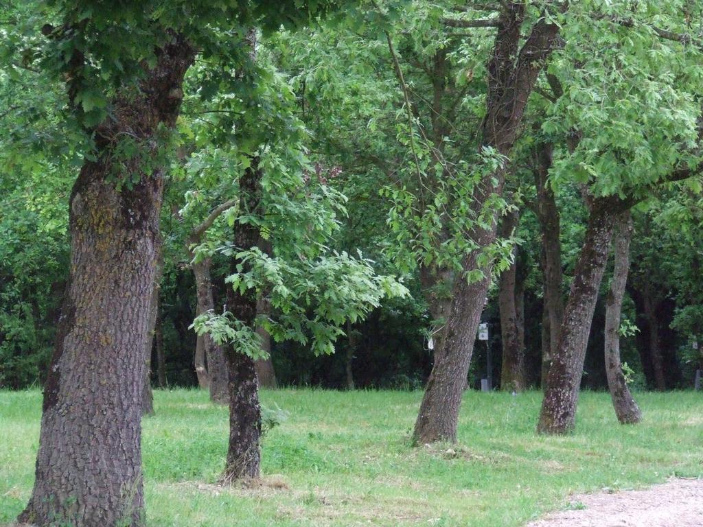 Camping Vila De Саррия Экстерьер фото